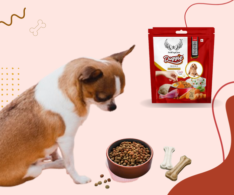 Buy fresh fish food online for aquatic pets at Pawingclaw – healthy and nutritious