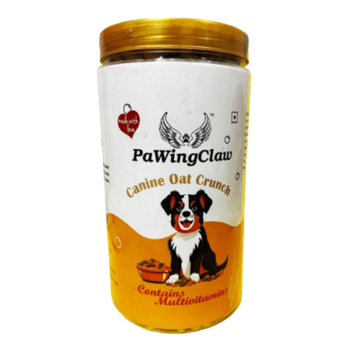 Doggie Biscuit