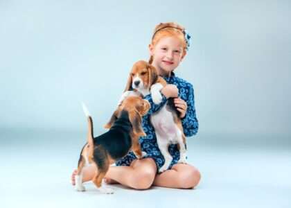 Healthy and happy pet treat tips – how to choose the best treats for dogs and cats by pawingclaw
