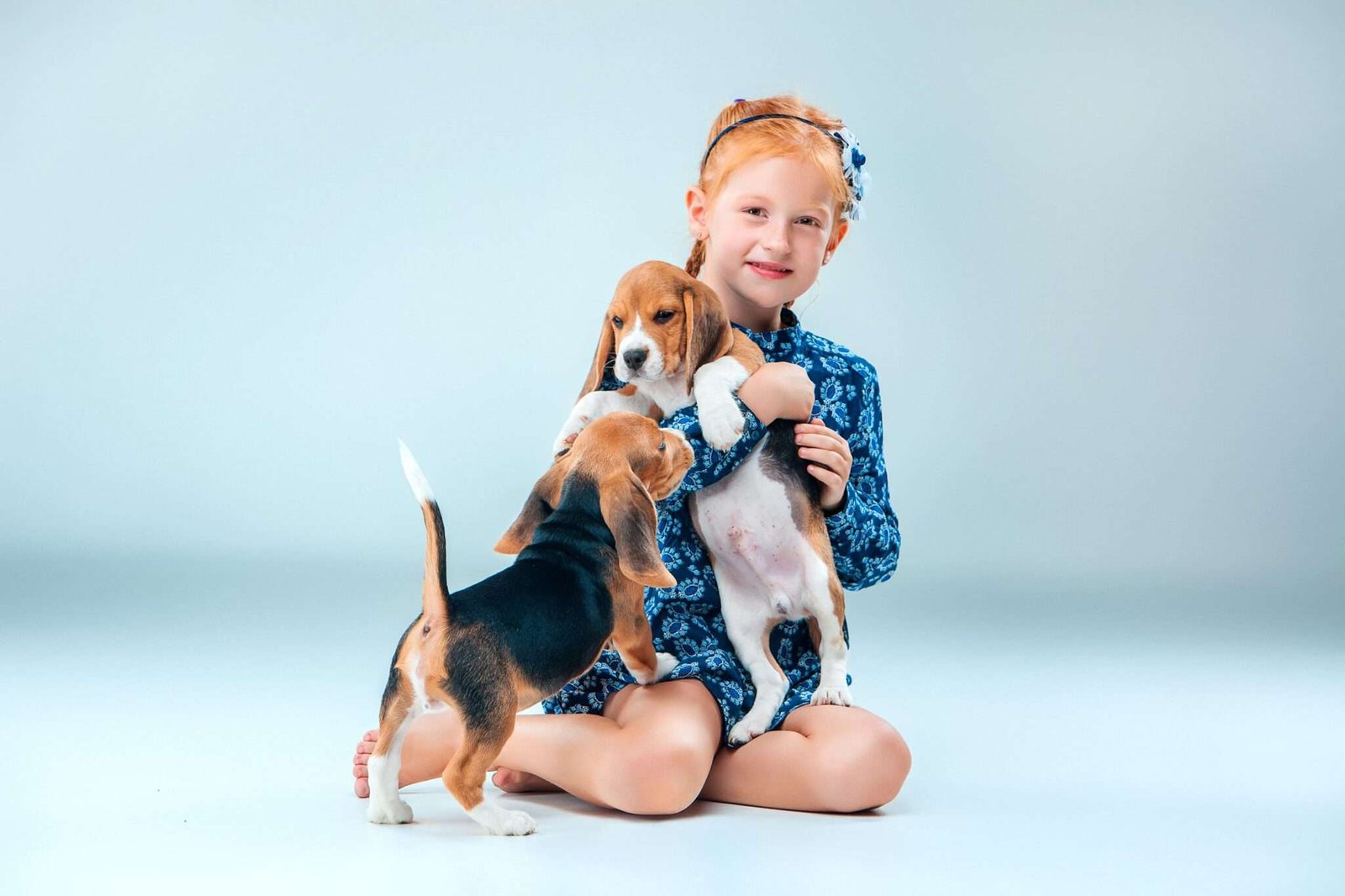Healthy and happy pet treat tips – how to choose the best treats for dogs and cats by pawingclaw