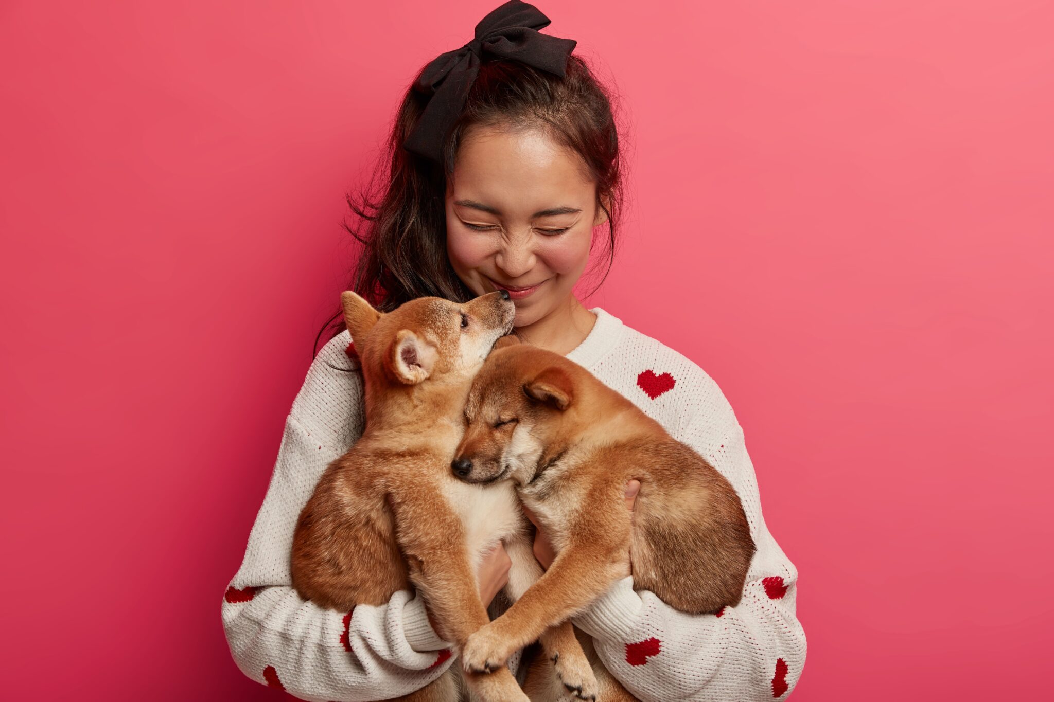Creative and meaningful ways to show love to pets beyond giving treats – bonding tips by pawingclaw