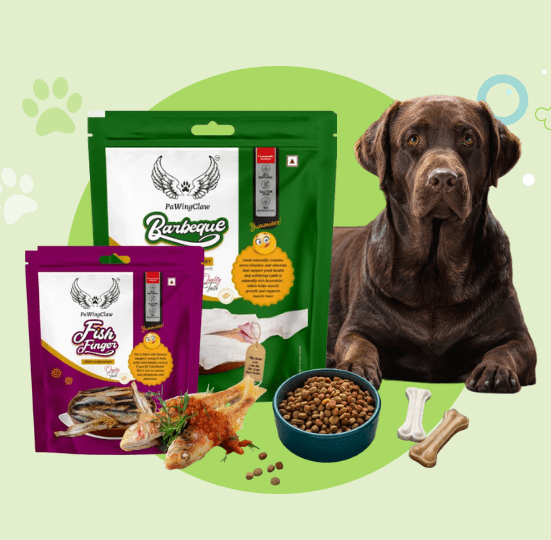 Buy fresh fish food online for aquatic pets at Pawingclaw – healthy and nutritious