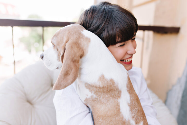 🐶Can Pets Understand Emotions? A 2025 Guide to Pet Feelings
